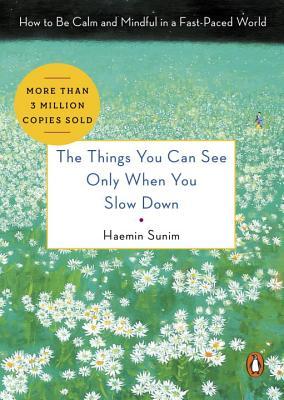 The Things You Can See Only When You Slow Down: Guidance on the Path to Mindfulness from a Spiritual Leader