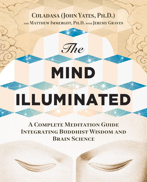 Download The Mind Illuminated: A Complete Meditation Guide Integrating Buddhist Wisdom and Brain Science [PDF] by Culadasa (John Charles Yates)