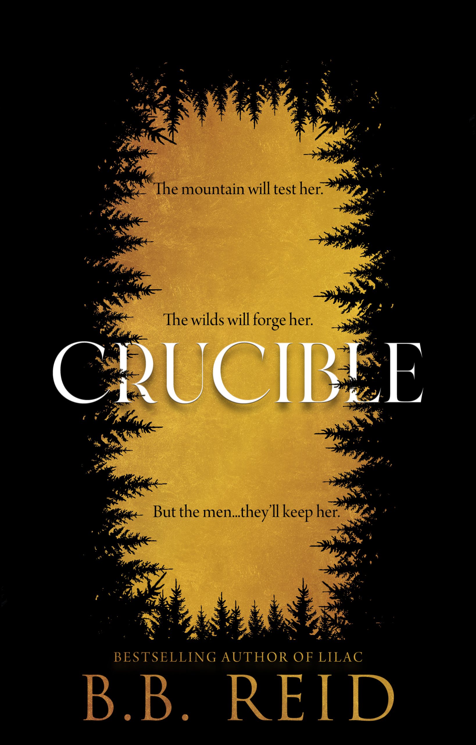 Crucible: A Dark Enemies-to-Lovers Romance