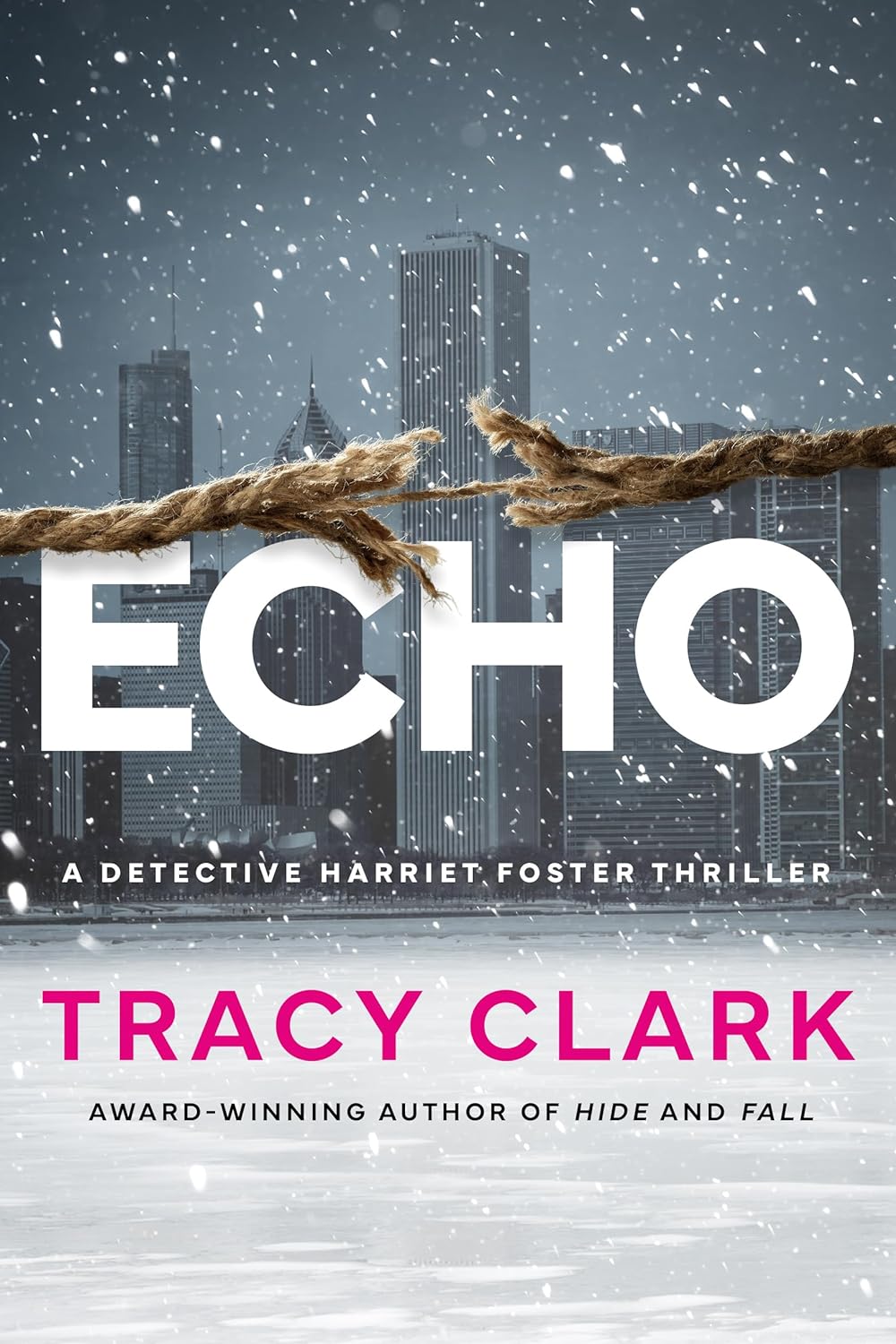 Echo (Detective Harriet Foster, #3)