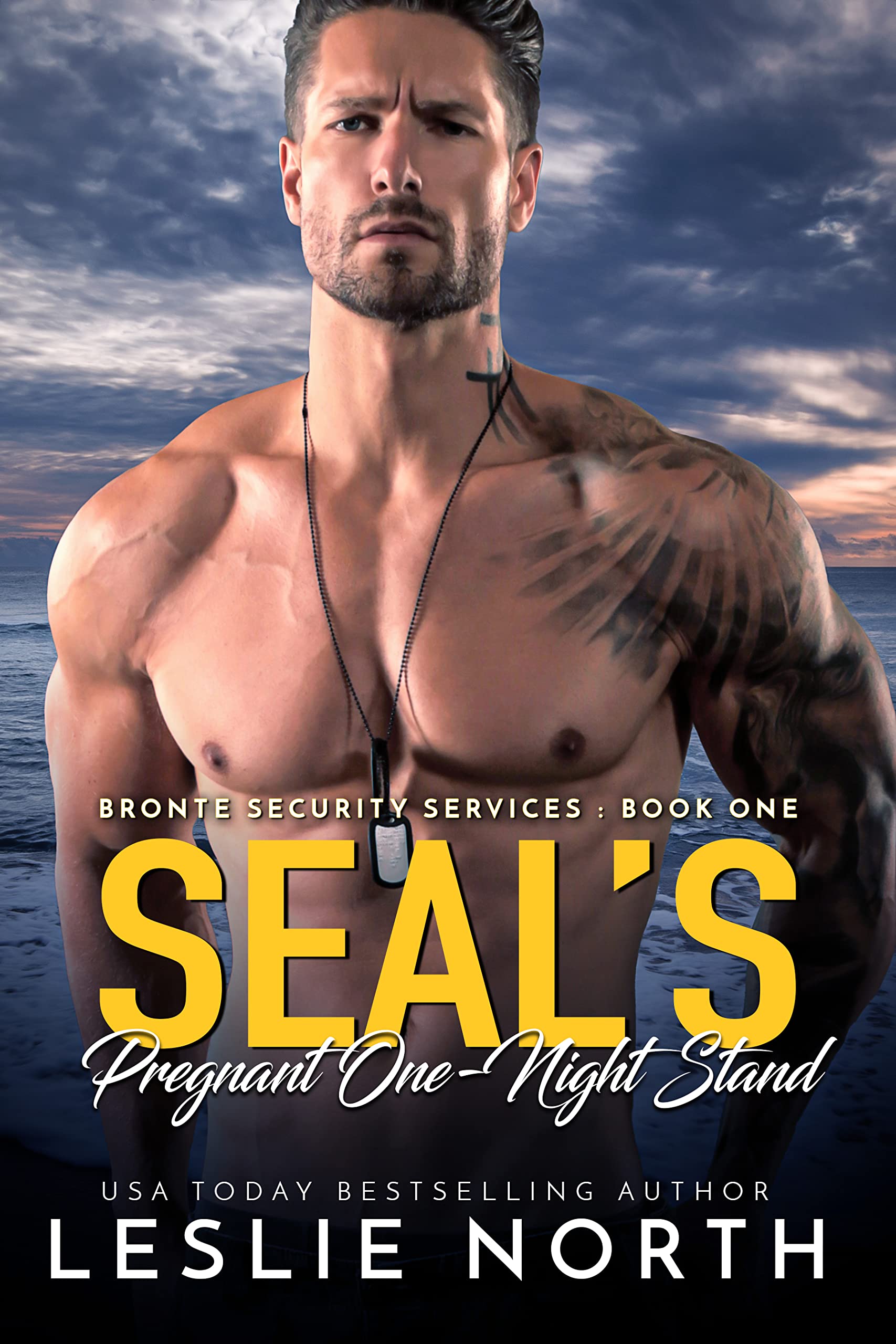 Download SEAL’s Pregnant One-Night Stand (Bronte Security Services, #1) [EPUB] [PDF] by Leslie North