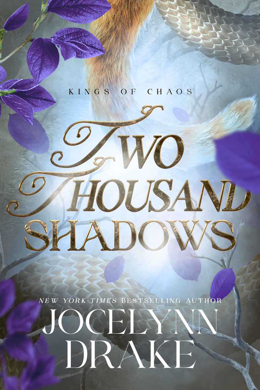 Two Thousand Shadows (Kings of Chaos, #4)