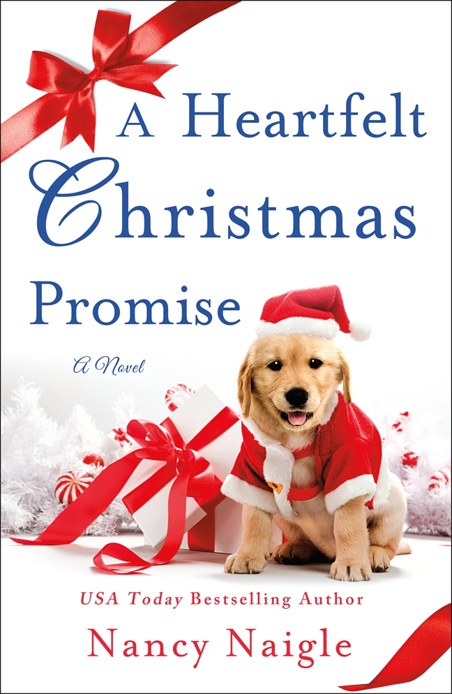 Download A Heartfelt Christmas Promise: A Novel [EPUB] [PDF] by Nancy Naigle