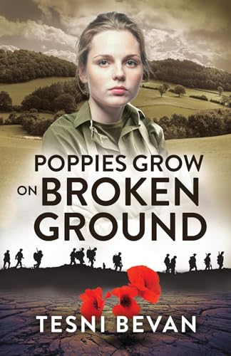 Poppies Grow on Broken Ground
