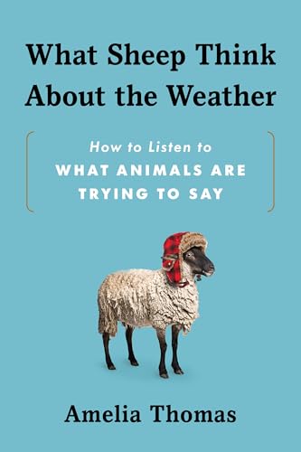 What Sheep Think About the Weather: How to Listen to What Animals Are Trying to Say