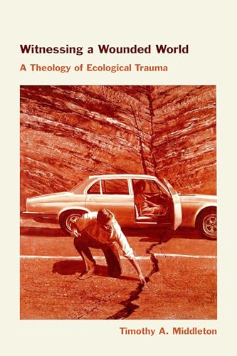 Witnessing a Wounded World: A Theology of Ecological Trauma