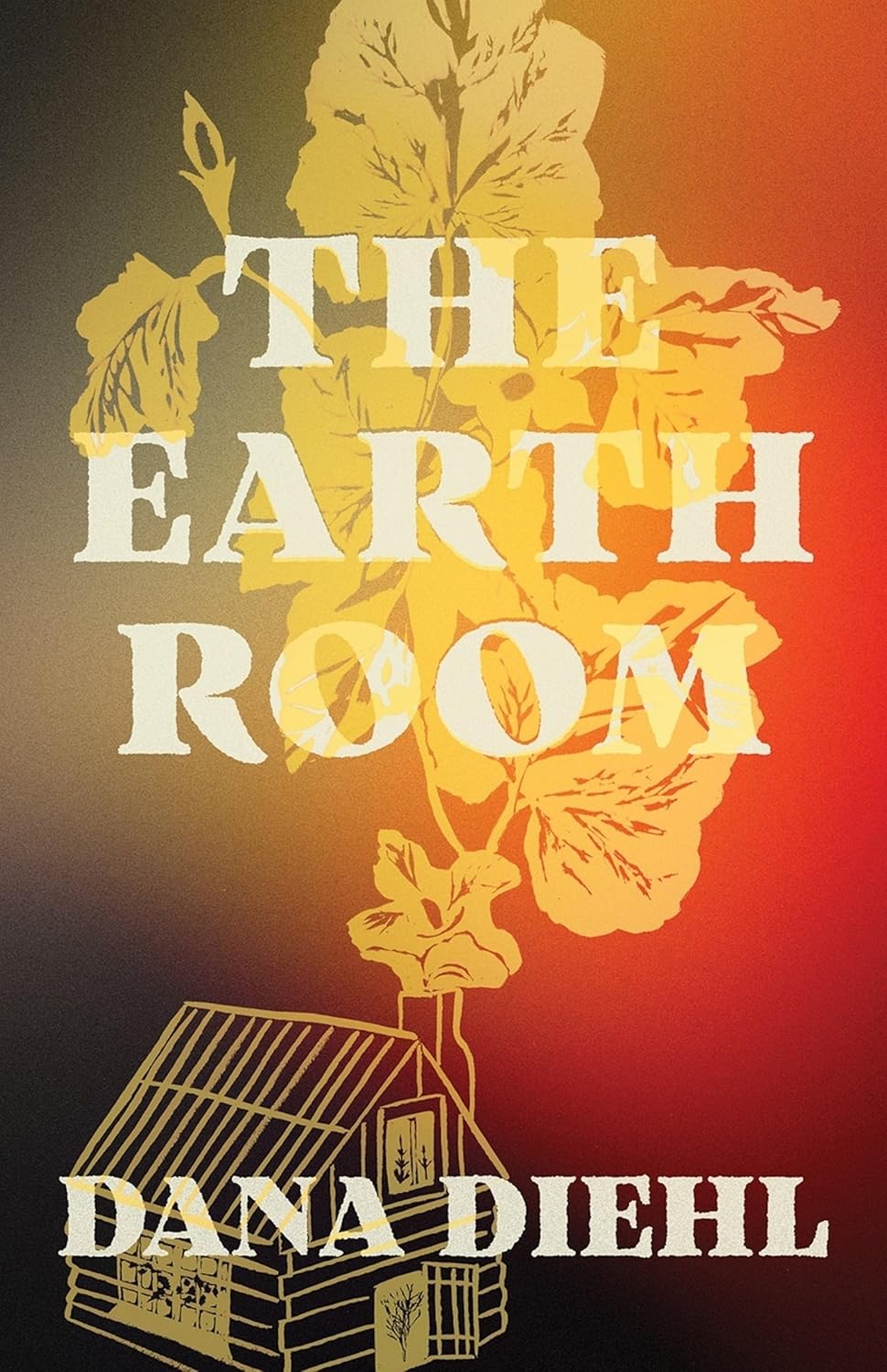 The Earth Room