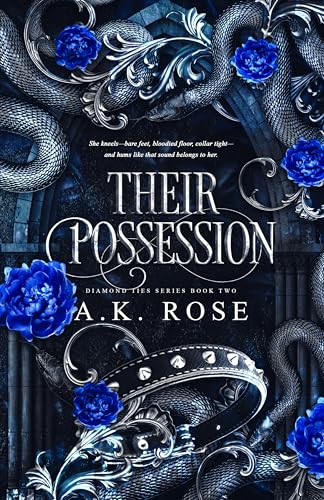 Their Possession (Diamond Ties Series Book 2)