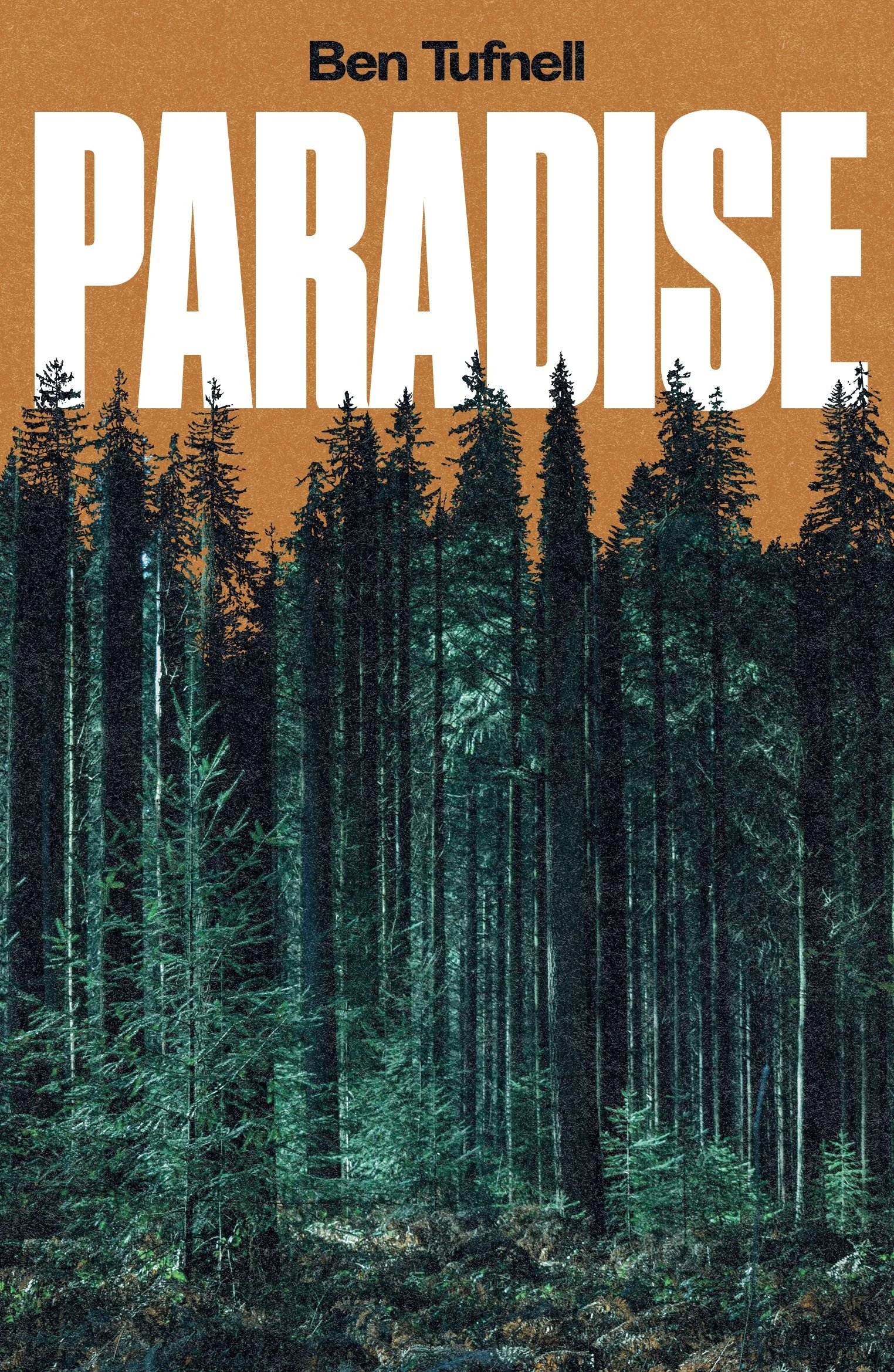 Paradise by Ben Tufnell