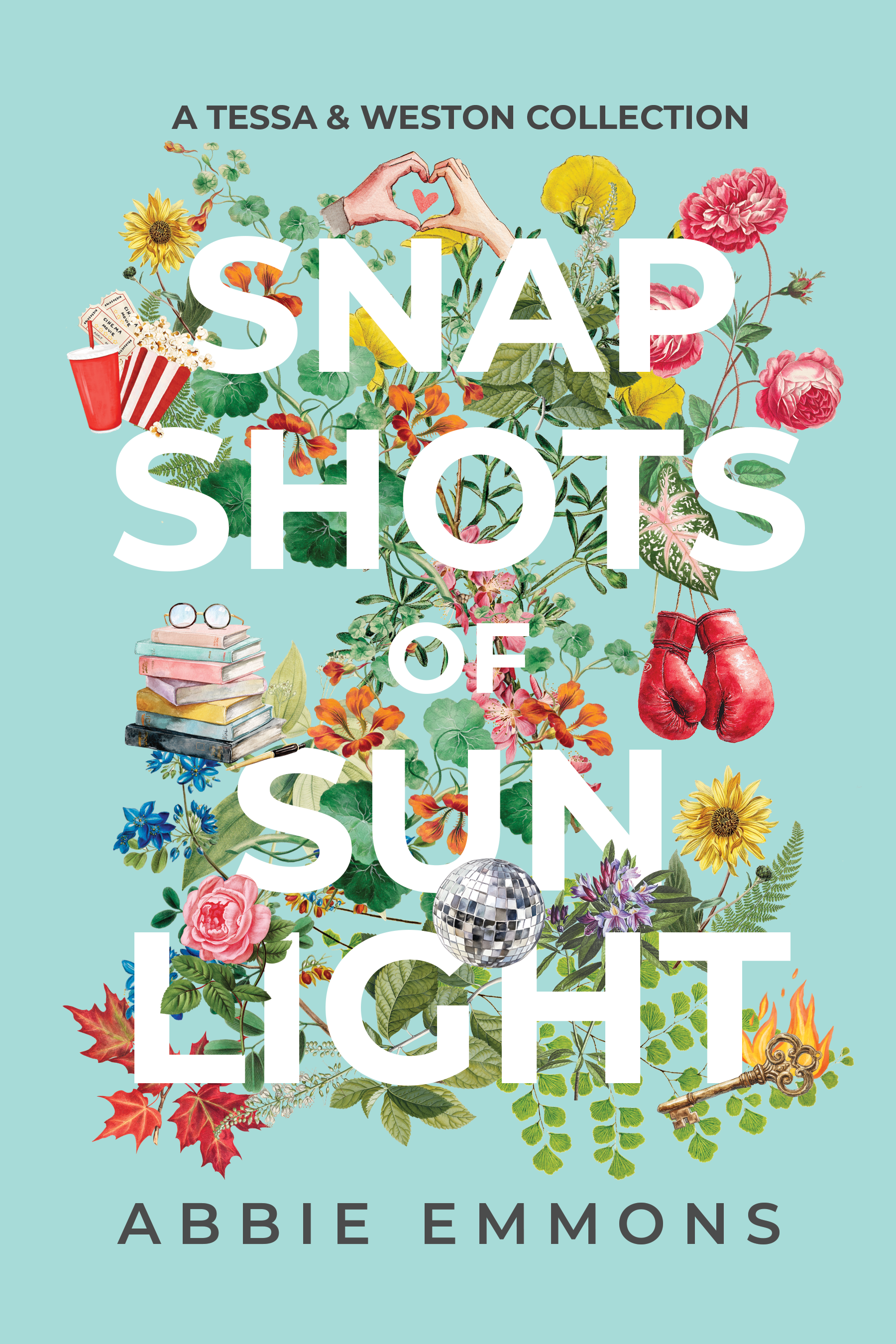 Download Snapshots of Sunlight (100 Days of Sunlight, #3) [EPUB] [PDF] by Abbie Emmons