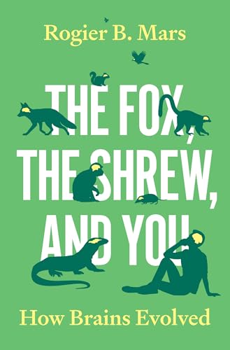 The Fox, the Shrew, and You: How Brains Evolved
