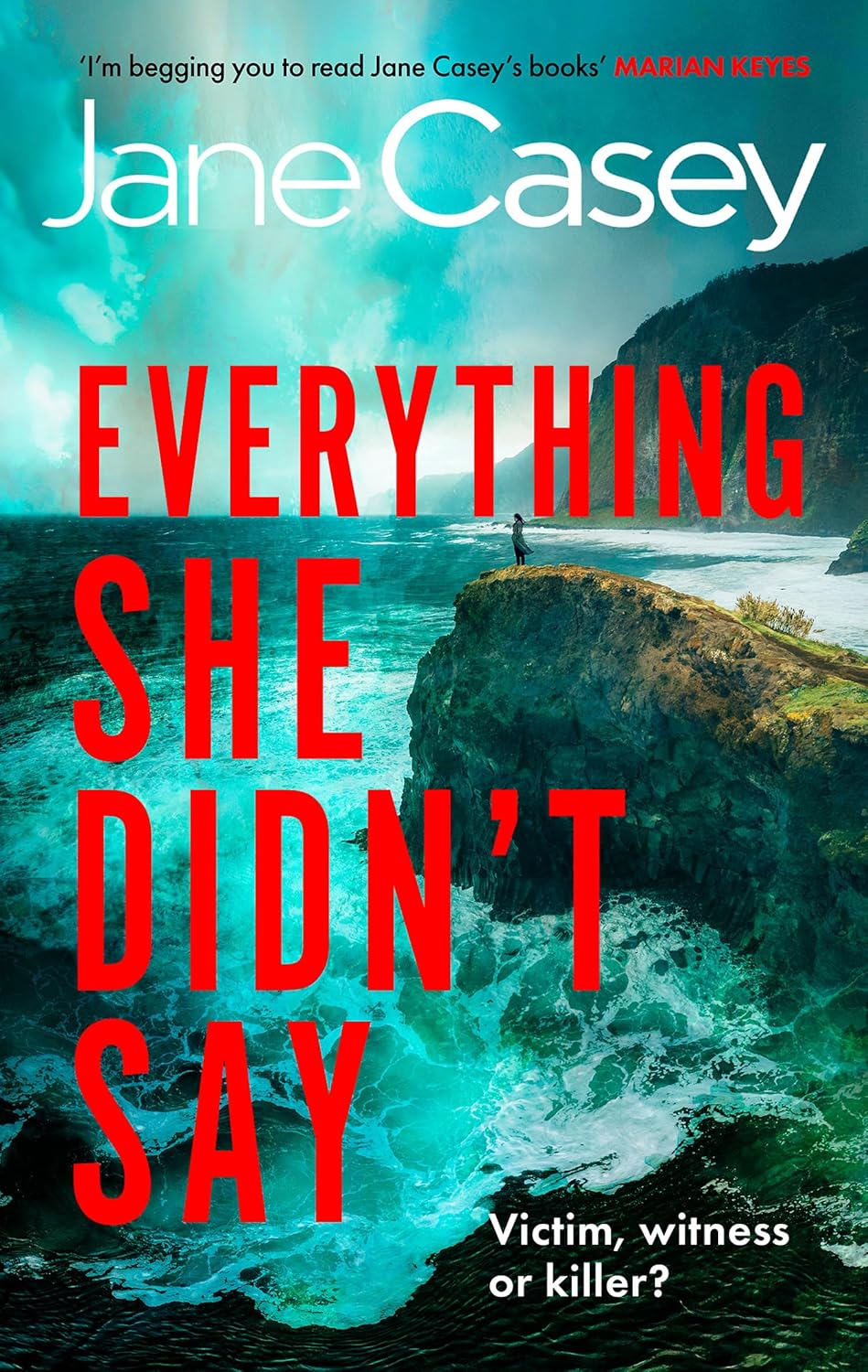 Everything She Didn’t Say by Jane Casey