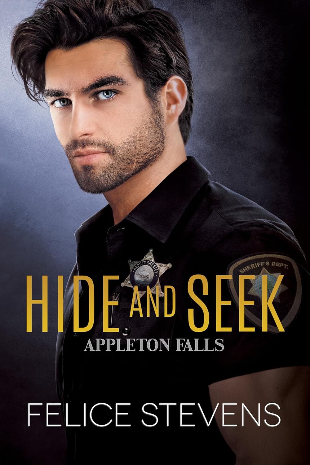 Hide and Seek (Appleton Falls #2)