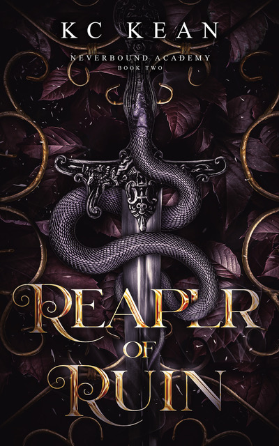 Reaper of Ruin (Neverbound Academy #2)