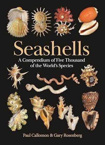 Seashells: A Compendium of Five Thousand of the World’s Species
