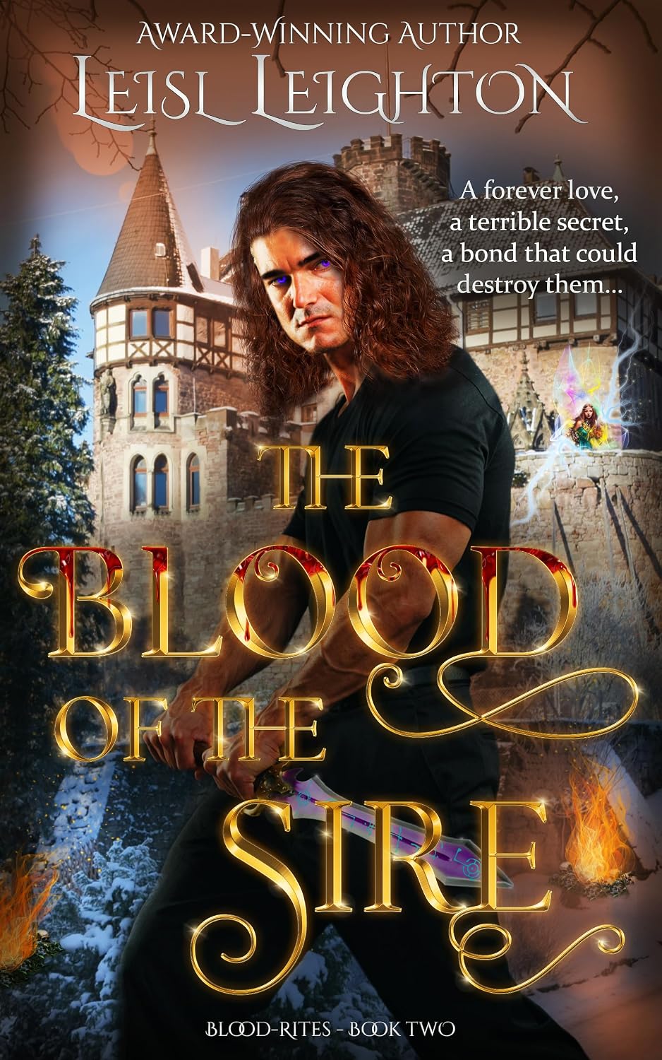 The Blood of the Sire: Blood-Rites Book 2 (The Blood-Rites Series)